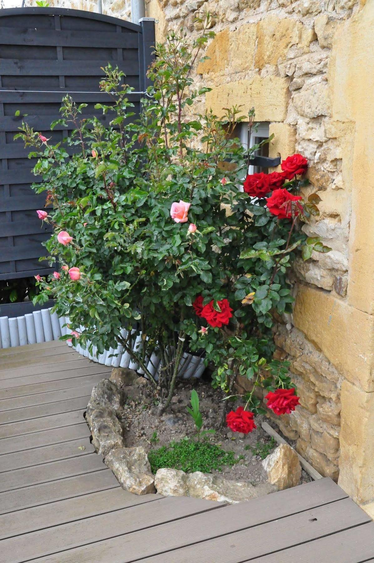Le Clos Du Cher En Beaujolais Saint-Germain-Nuelles Esterno foto