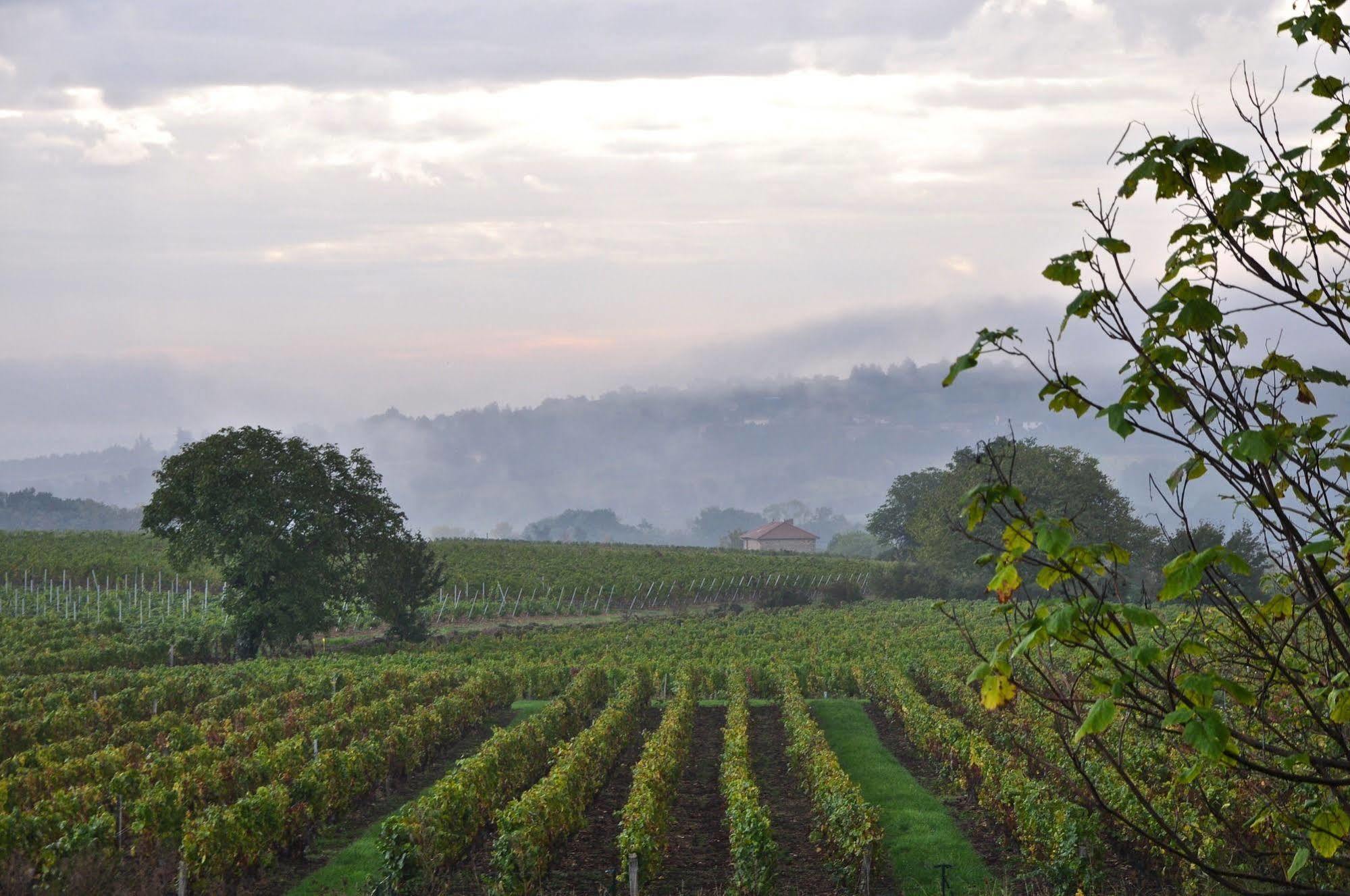Le Clos Du Cher En Beaujolais Saint-Germain-Nuelles Esterno foto