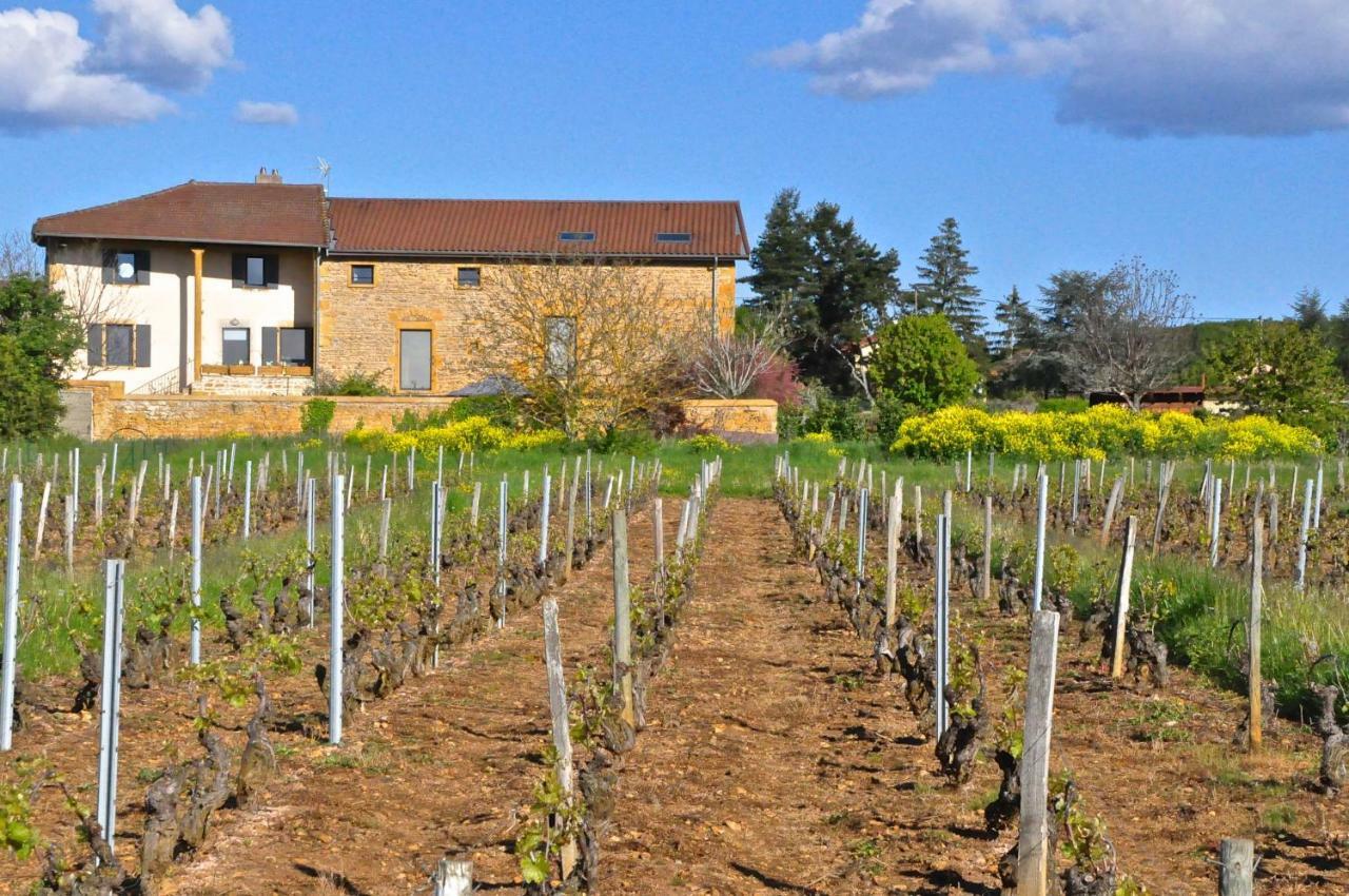 Le Clos Du Cher En Beaujolais Saint-Germain-Nuelles Esterno foto